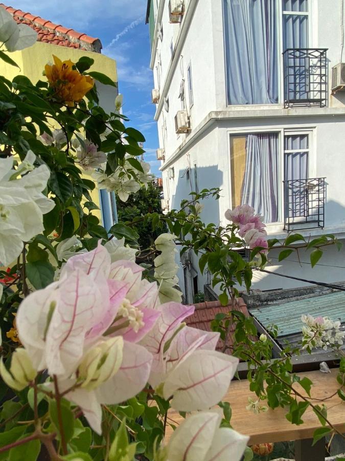 Seven Homestay هوي المظهر الخارجي الصورة